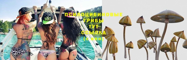 круглые Иннополис