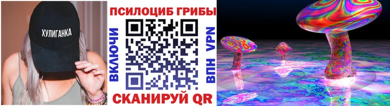 Галлюциногенные грибы Psilocybe  Купить закладки  Пугачёв 